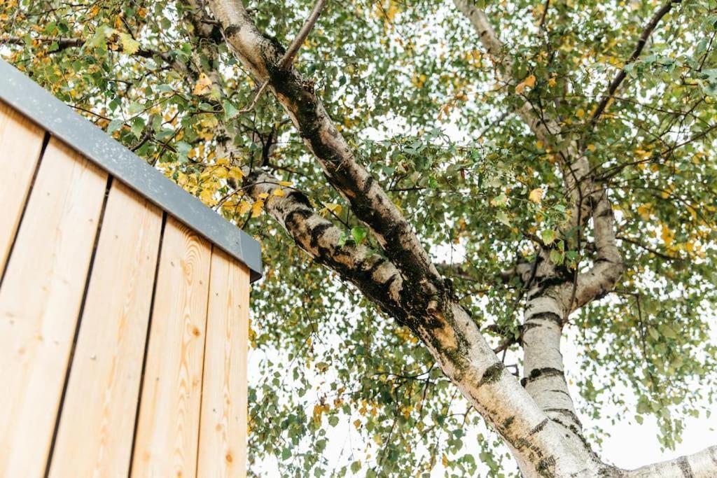 Carmen Eco-Pod / Treehouse, Close To Cabot Circus 브리스틀 외부 사진